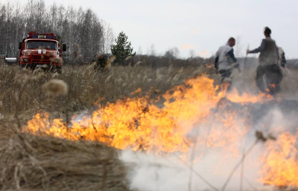 В пограничной зоне Карелии произошло два пожара