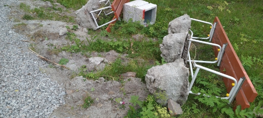 ВИДЕО: Местные власти рассказали, зачем в парке Медвежьегорска 