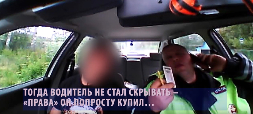 ВИДЕО: В Карелии более десяти водителей пойманы с поддельными удостоверениями 