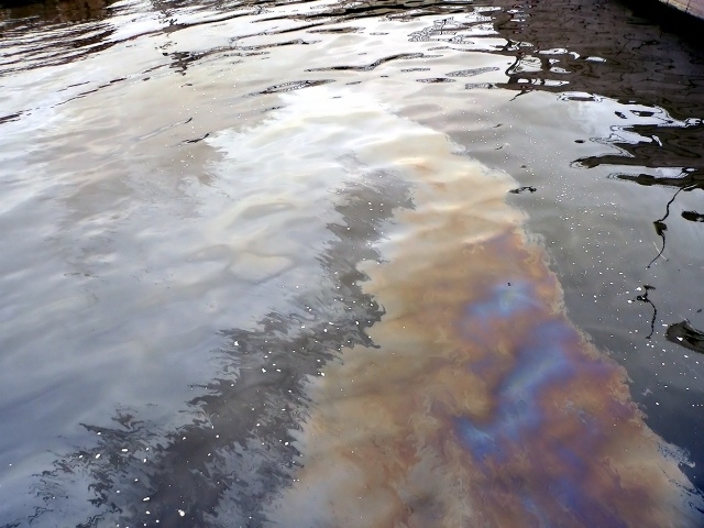 Минприроды Карелии проводит проверку по факту попадания нефти в реку Олонка