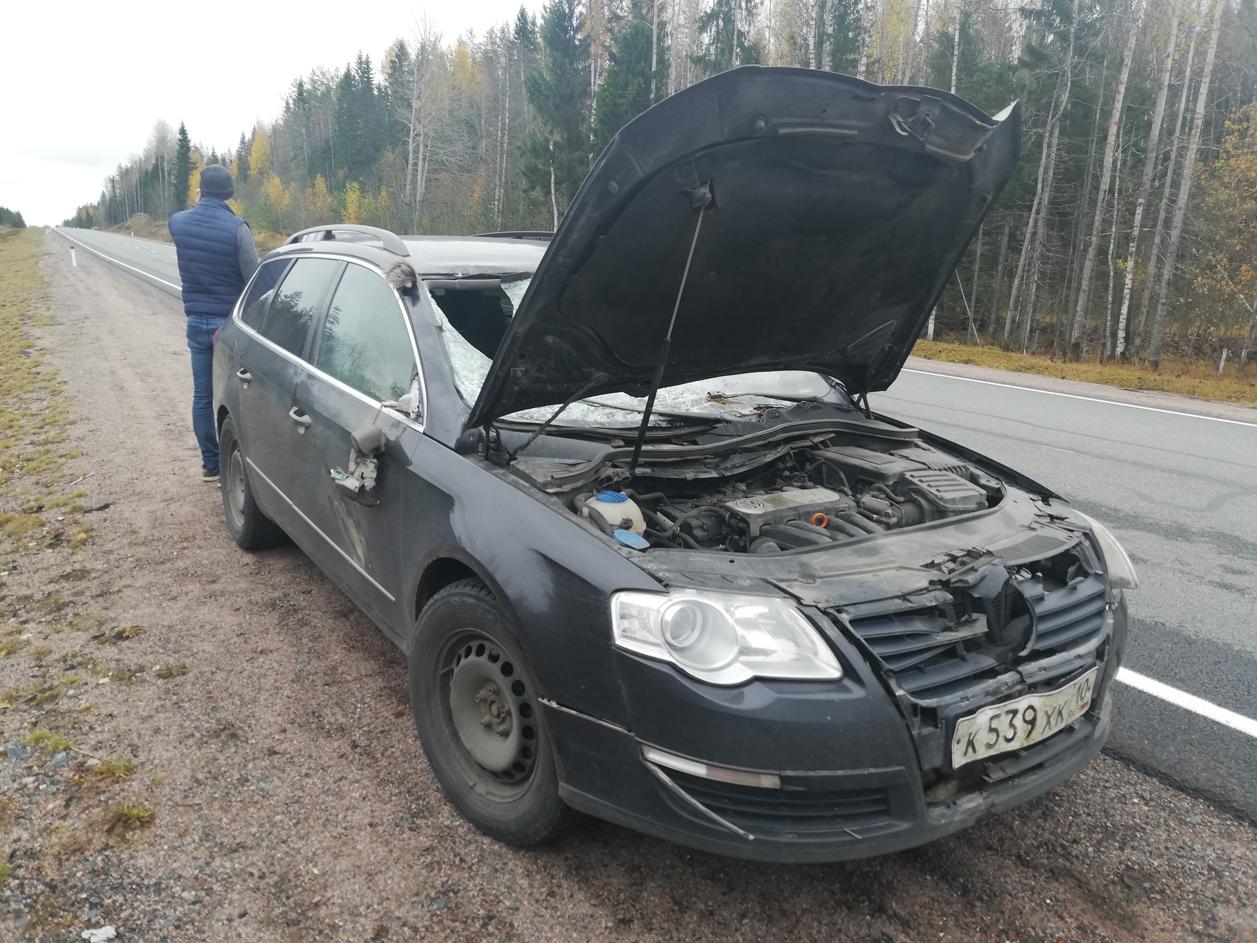 Водитель сбил лося в Питкярантском районе Карелии (ФОТОФАКТ) 