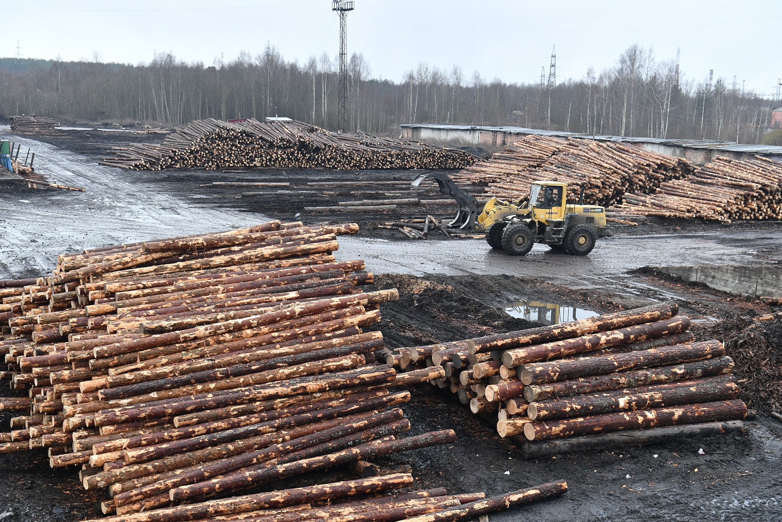 Строительство двух новых цехов на Кондопожском лесопильно-экспортном заводе начнется в 2020 году