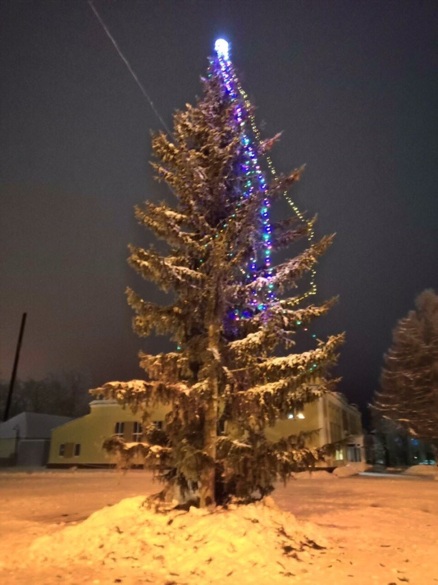 Жители поселка Карелии сами себе собрали деньги на новогоднюю елку