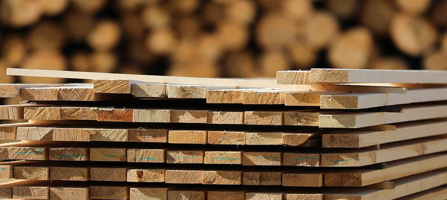 Житель Карелии украл у рыбака шесть кубометров древесины