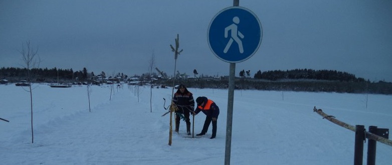 Ледовую переправу установили для жителей деревни в Карелии