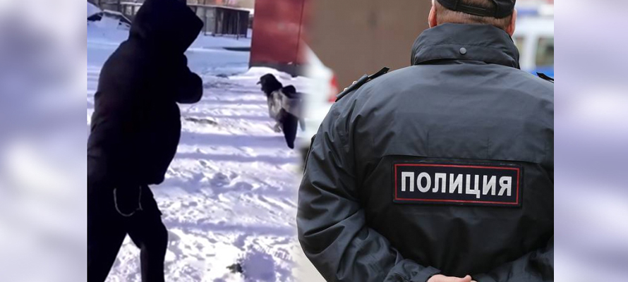 Полиция придет к подросткам, которые до смерти забили ворону в Петрозаводске