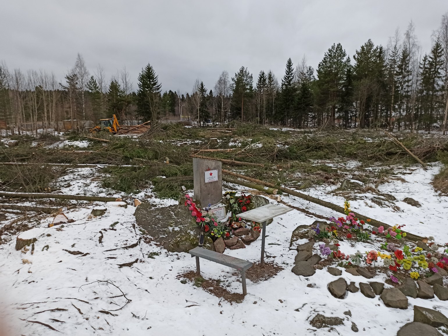 Жители Петрозаводска возмущены вырубками леса вокруг карьера на Ключевой и готовы протестовать (ФОТО и ВИДЕО)