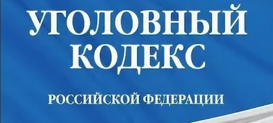 210 ук. УК РФ. Дуров Дмитрий 210ст УК РФ Холмск.