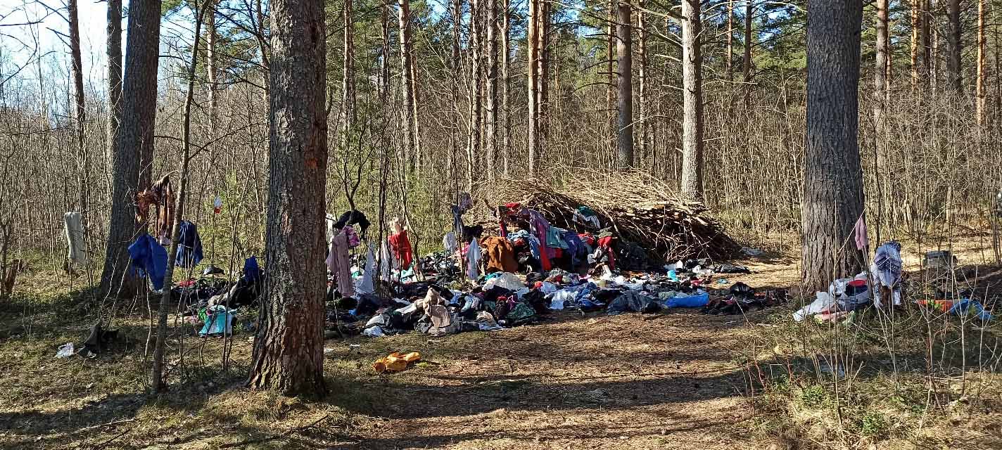 Народный фронт карелия. Свалка одежды в Лыткарино. Как одеваться в лесу в Карелии.