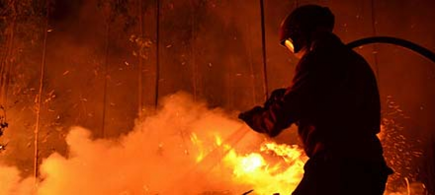 Крупный пожар произошел около карьера в Петрозаводске