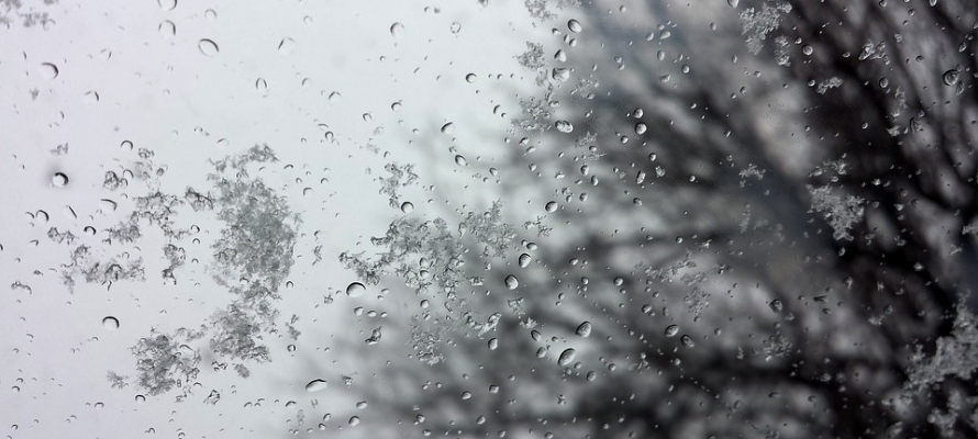 Мокрый снег и дождь ожидаются во вторник в Карелии