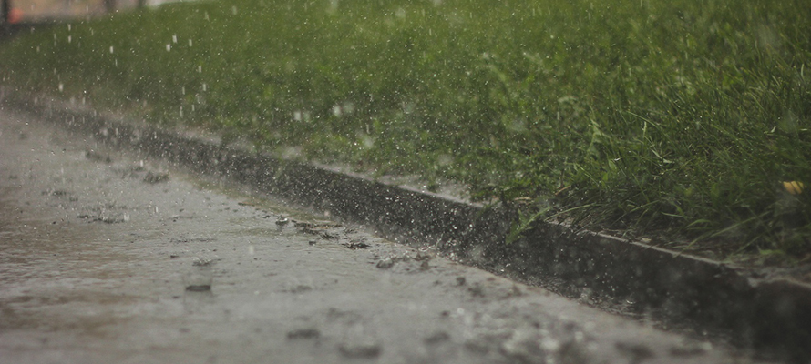 Небольшой дождь ожидается в пятницу в Карелии