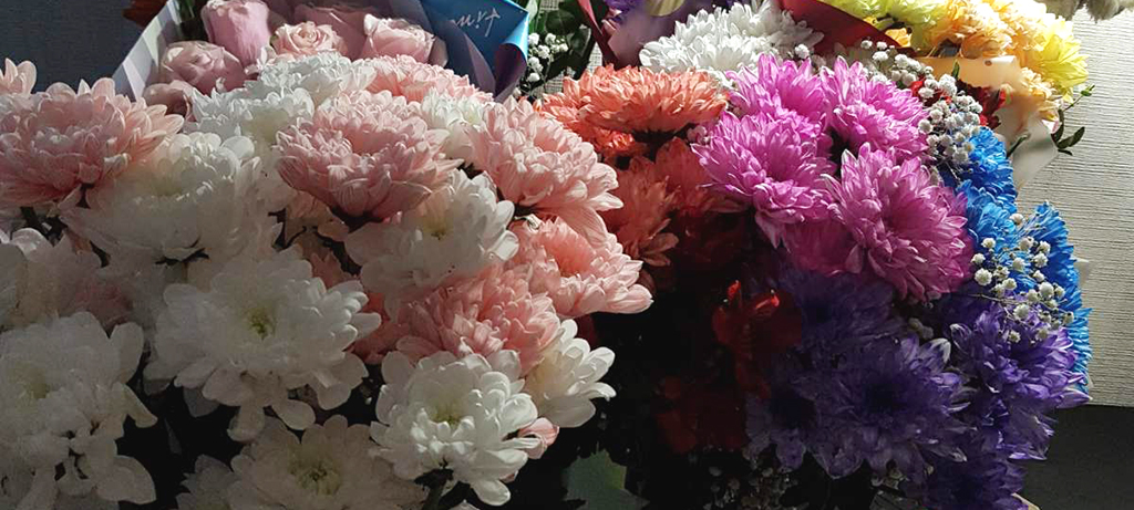 Онега цветы. Название цветов которые продают в цветочных магазинах. Западный цветочный трипс. Какие цветы продают в цветочных магазинах. Цветы в марте какие продают.