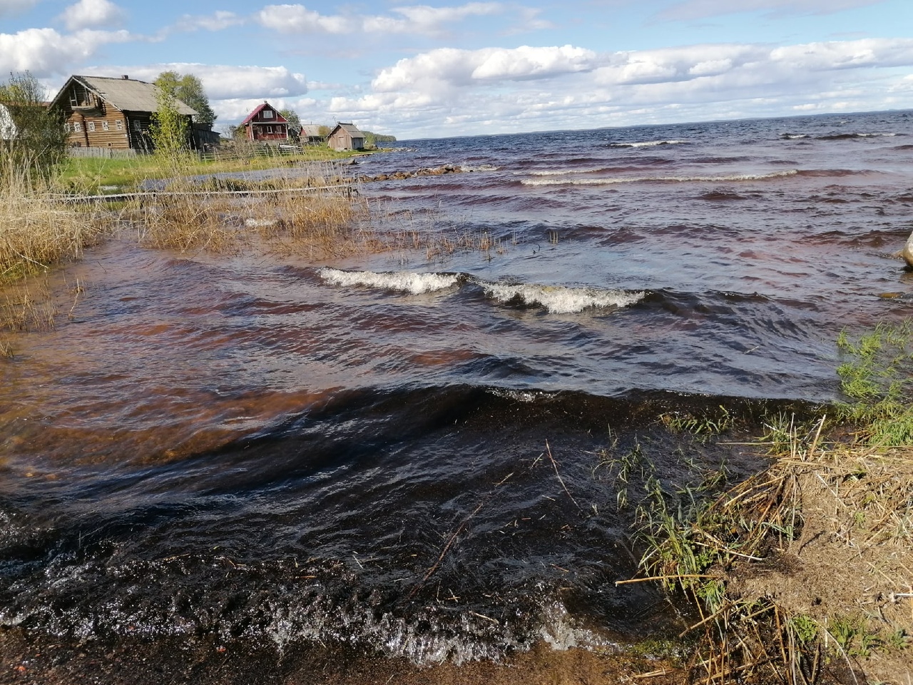 Северный ветер усилится в воскресенье в Карелии | 30.05.2020 | Новости  Петрозаводска - БезФормата