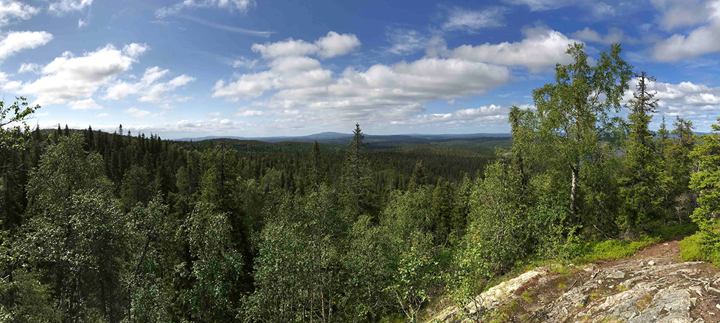 Национальный парк в Карелии вошел в топ-10 самых красивых парков России