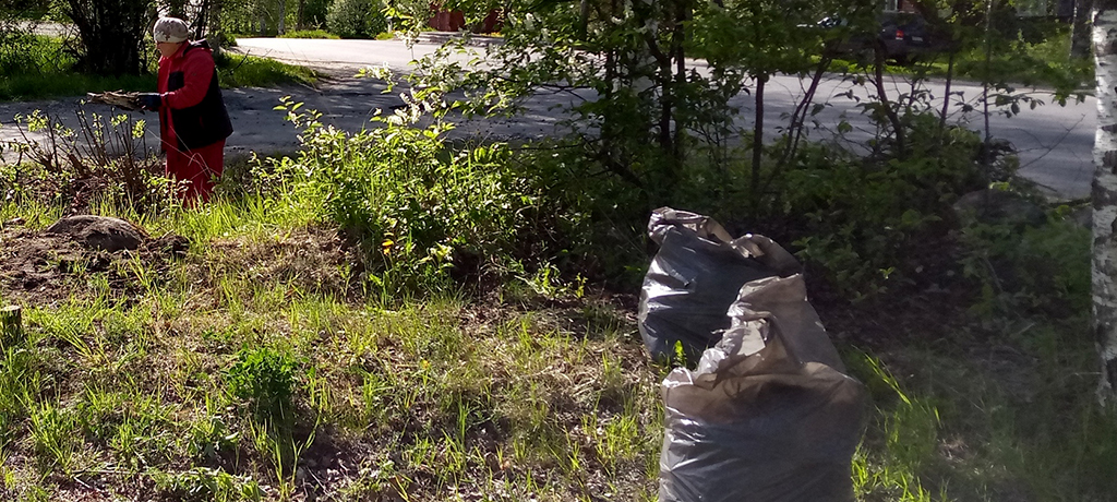 Жители Петрозаводска продолжают очищать город от мусора (ФОТО)