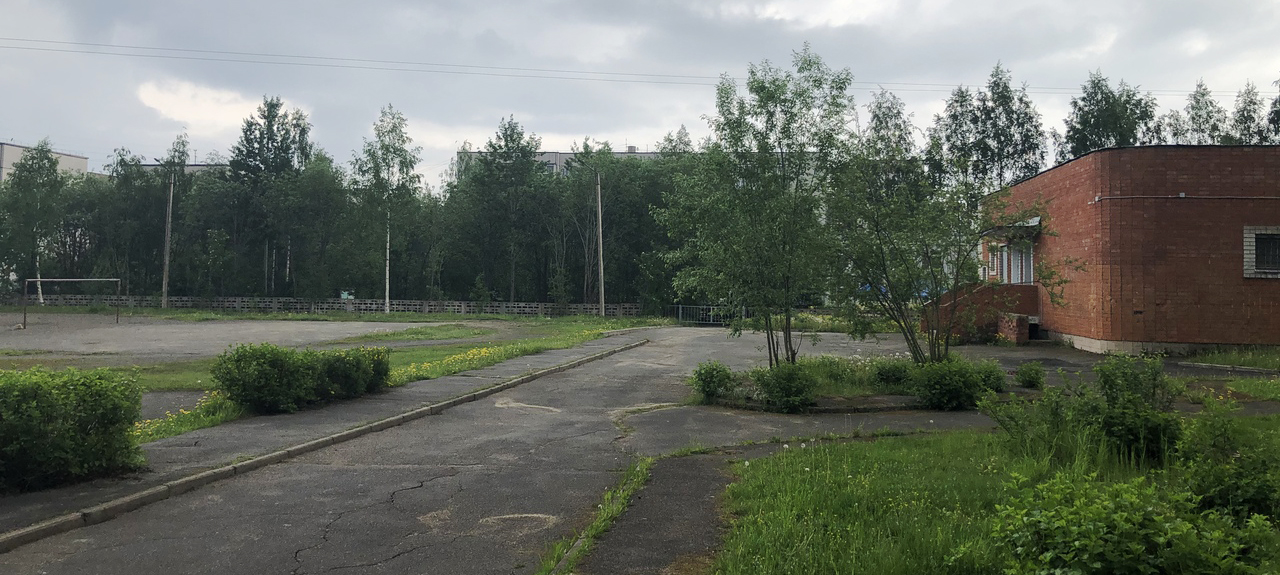 Новая зона отдыха появится в Петрозаводске на Древлянке