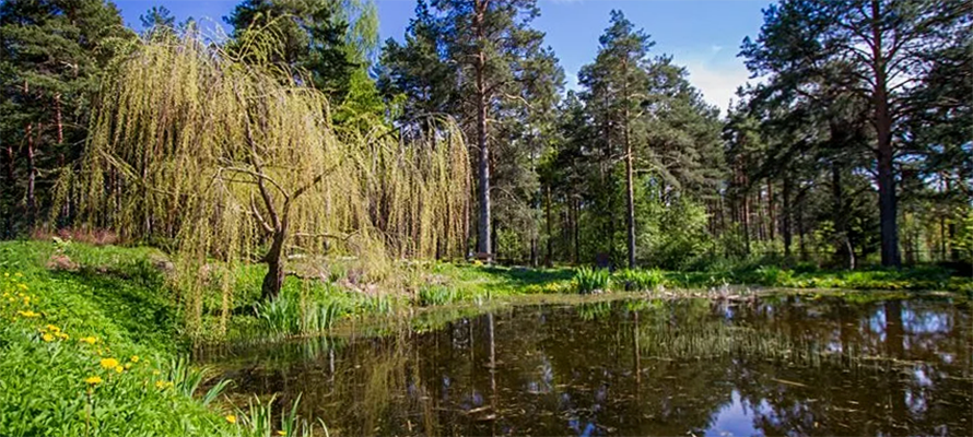 Ботанический сад в Петрозаводске открылся для посетителей