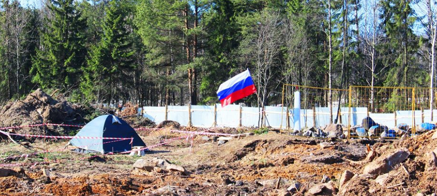 Городской суд Петрозаводска повторно рассмотрит дело о законности разрешения на снос деревьев в парке "Каменный бор"  
