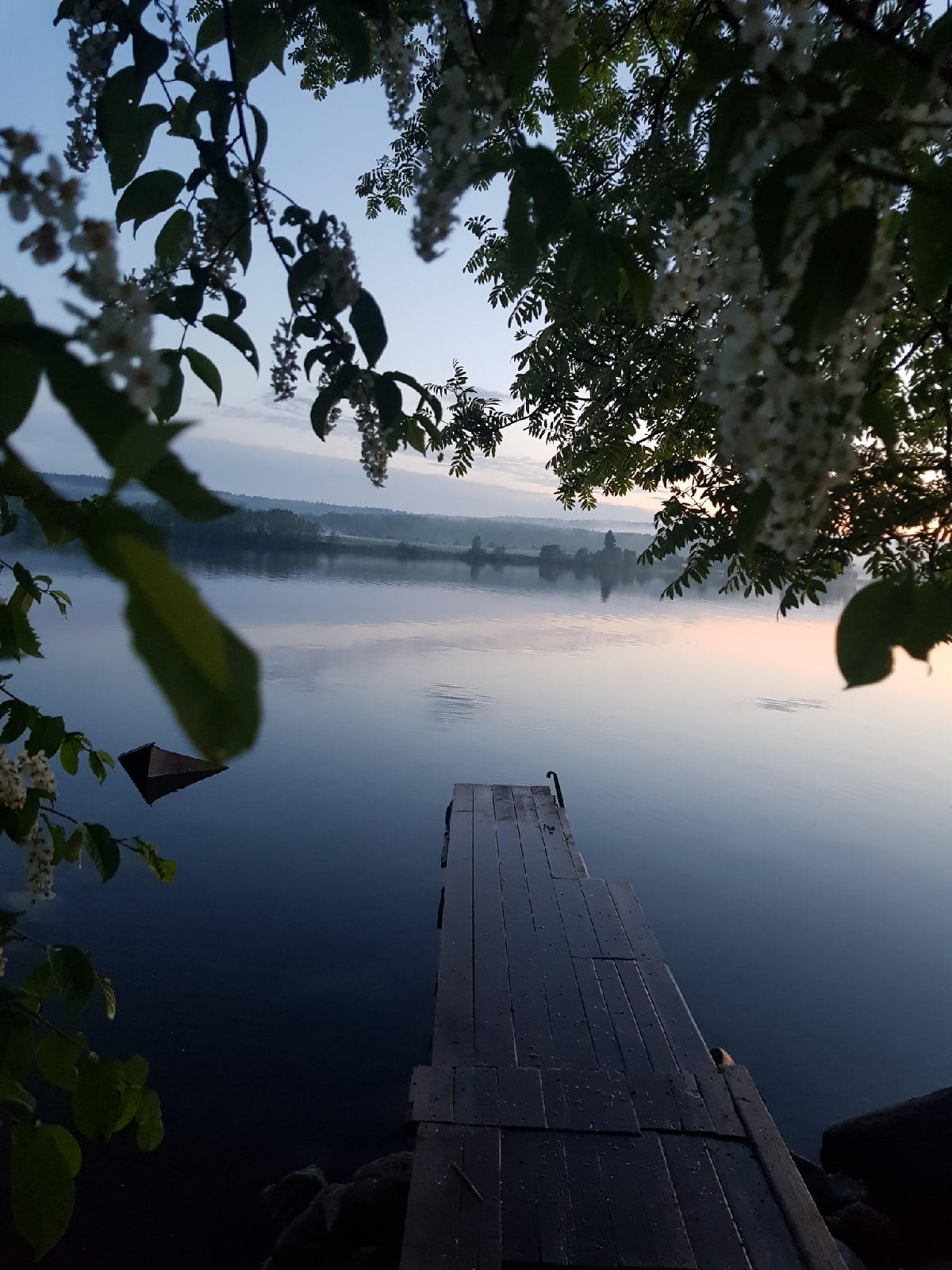 Глава Карелии запретил создавать рыбоводный участок на озере Пертозеро