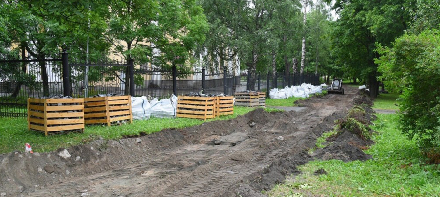 Десятки деревьев снесут в Голиковском парке в Петрозаводске