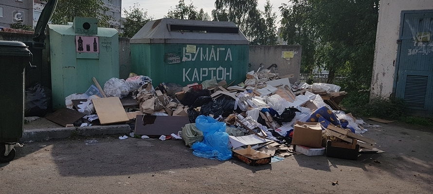 Обслуживание контейнеров для раздельного сбора отходов возобновляется в Петрозаводске