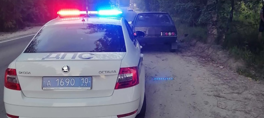 Пьяный водитель в Карелии пытался скрыться от полицейских в темноте