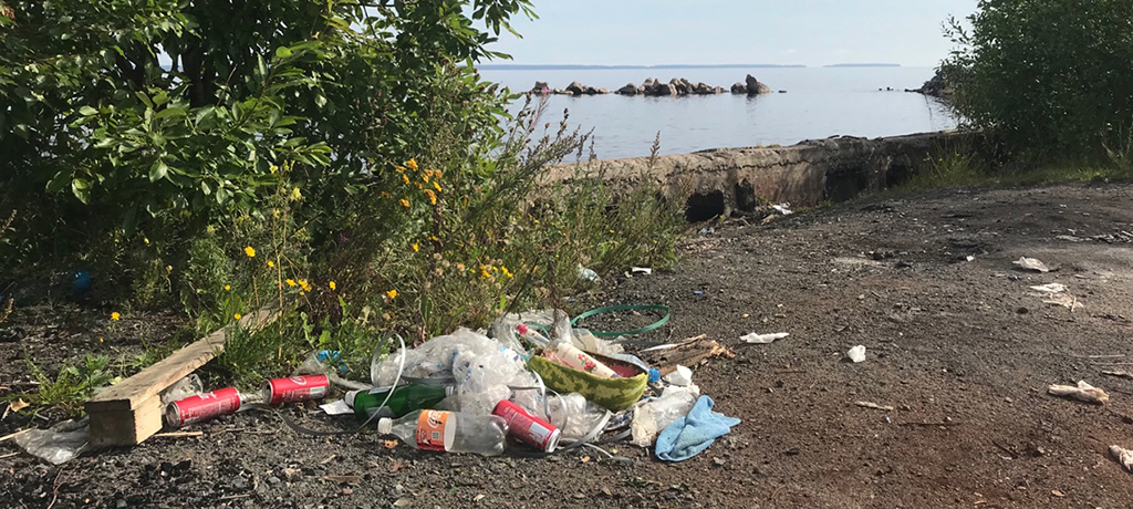 Генеральная уборка берегов Онежского озера начнется 4 сентября