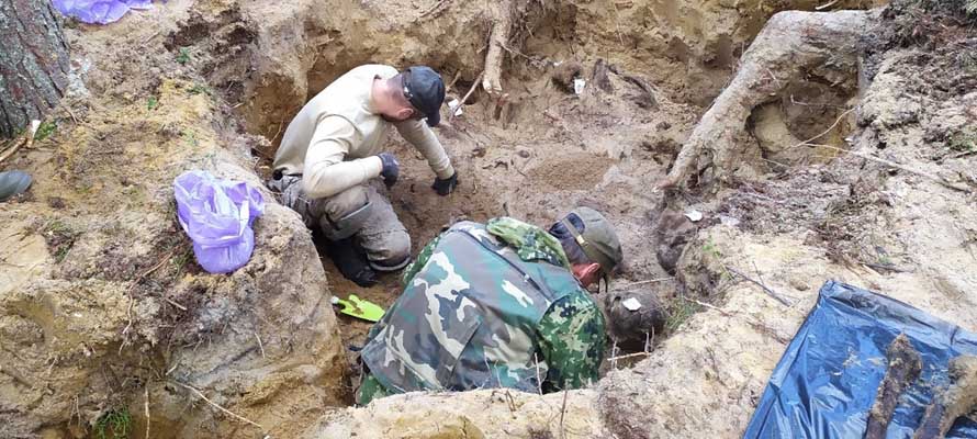 Останки погибших моряков эксгумировали в Карелии (ФОТО)