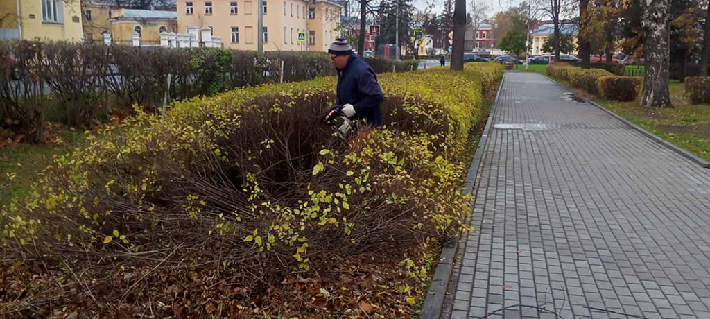 Петрозаводск Государев сад фото