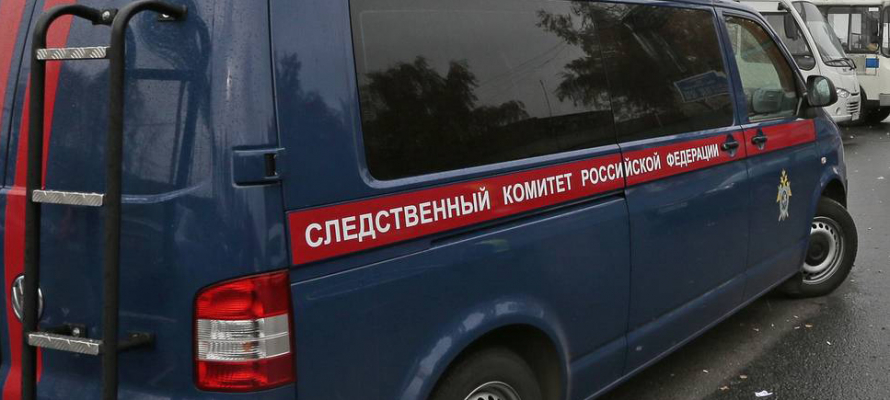 Мужчина напал на 11-летнюю девочку в Петрозаводске и ограбил ее 