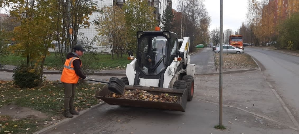 Подрядчика в Петрозаводске второй раз оштрафовали за плохую уборку листвы