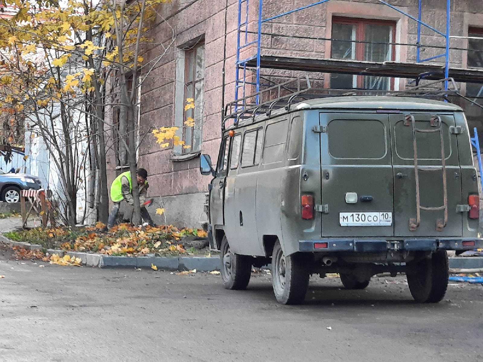 Петрозаводчане со слезами сообщают, что в городе продолжают рубить деревья (ФОТО)