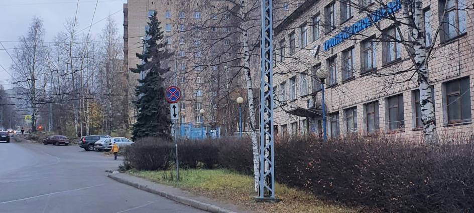 Антивандальное покрытие нанесли на 900 опор троллейбусной сети в Петрозаводске