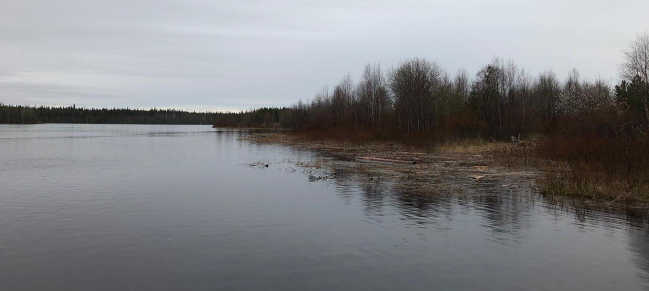 Реку Кемь в Карелии до сих пор не могут очистить после аварии на ГЭС (ФОТО)