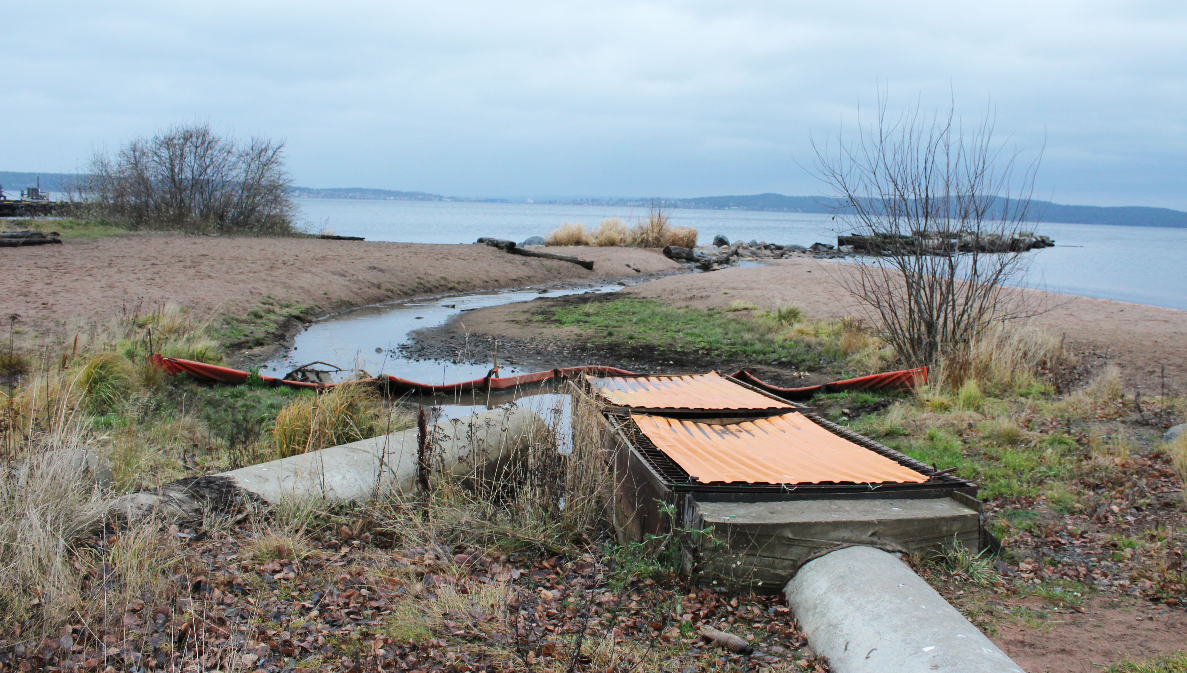 Международный проект позволит Петрозаводску избавиться от загрязнения Онежского озера нефтепродуктами 