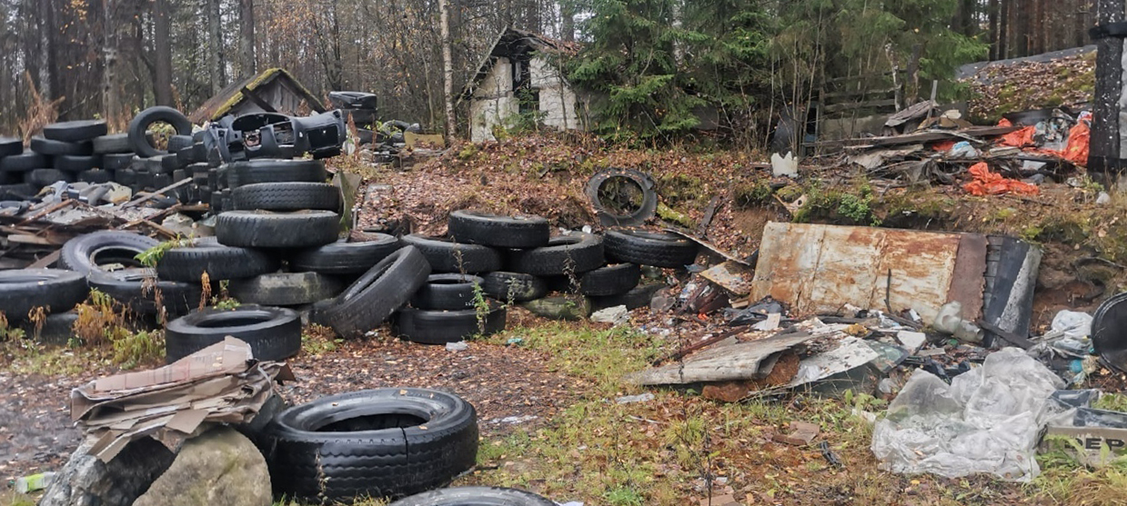 Подрядчики в Петрозаводске за год убрали 161 стихийную свалку мусора