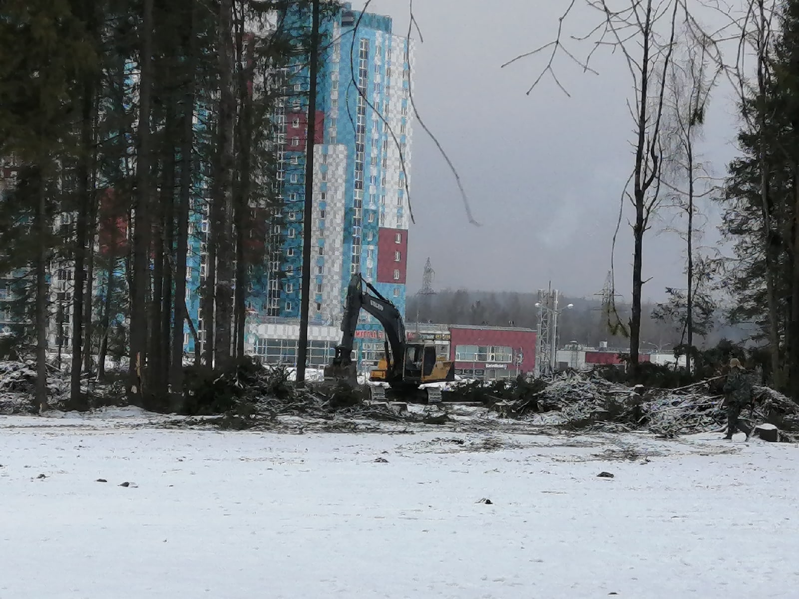 Власти Петрозаводска объяснили вырубку леса на Кукковке необходимостью обезопасить детей (ФОТО)