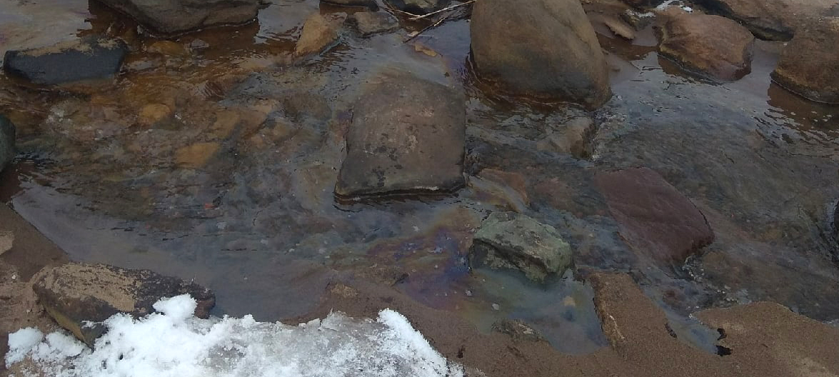 Ручей с нефтепродуктами вновь стекает в Онежское озеро у парка в Петрозаводске (ФОТО)