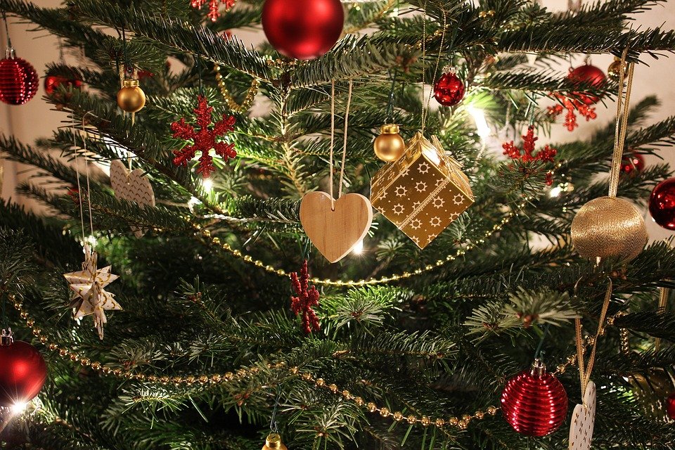 Ударьте стволом дерева о землю: Роспотребнадзор рассказал, как правильно выбрать новогоднюю ёлку