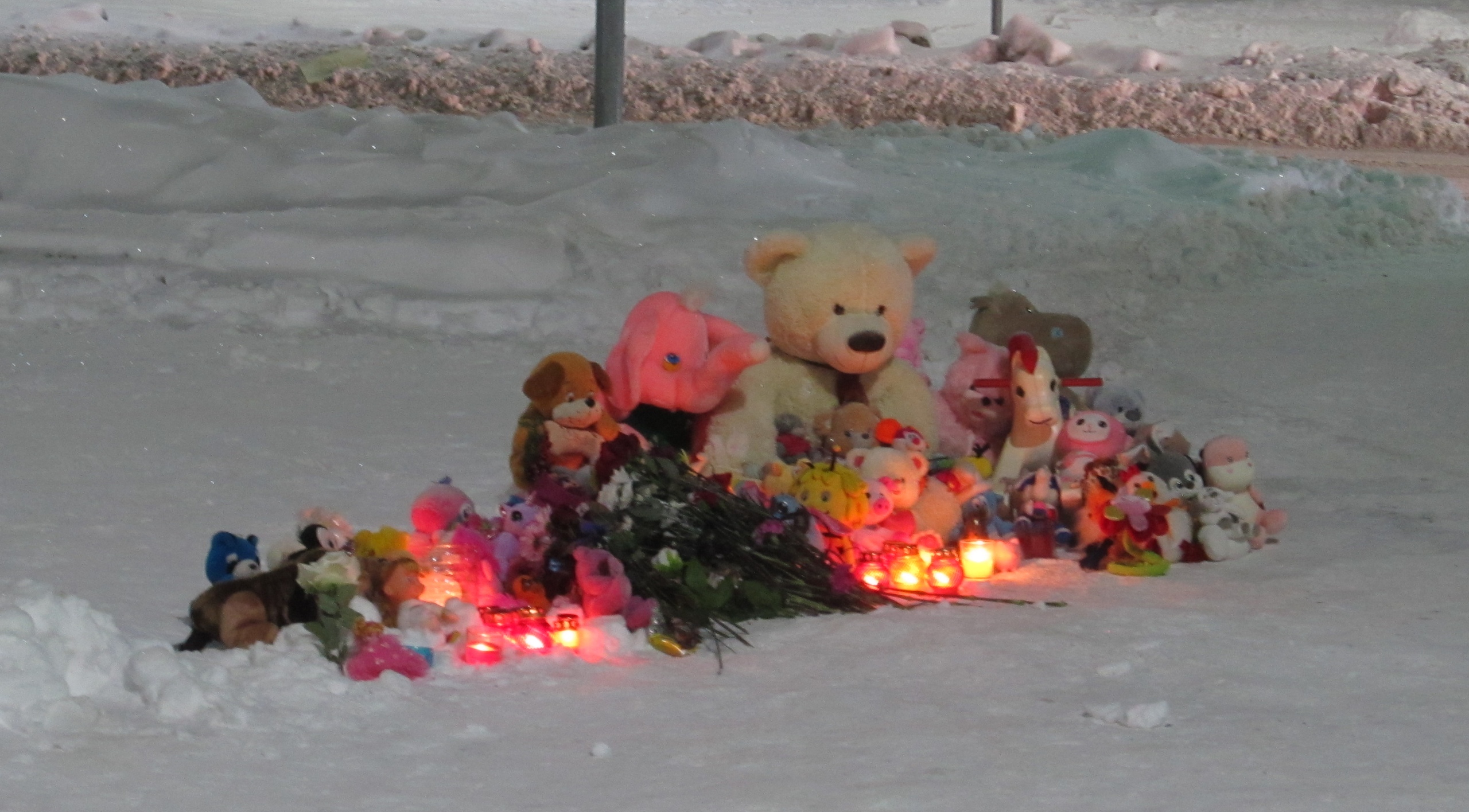 В Костомукше игрушки и цветы появились на месте гибели восьмилетней девочки, попавшей под трактор