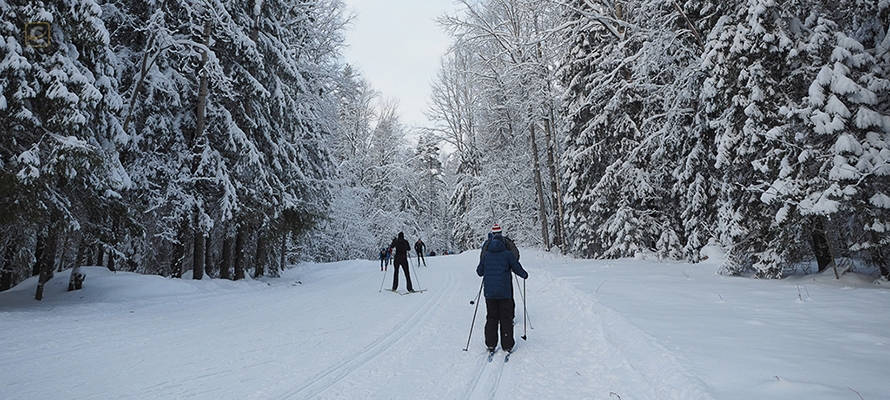 Лыжная трасса "Фонтаны" в Петрозаводске станет доступной для любителей бега и скандинавской ходьбы