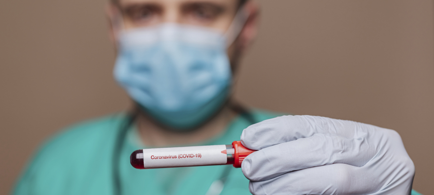 Стало известно, где можно сдать тест на коронавирус в Петрозаводске
