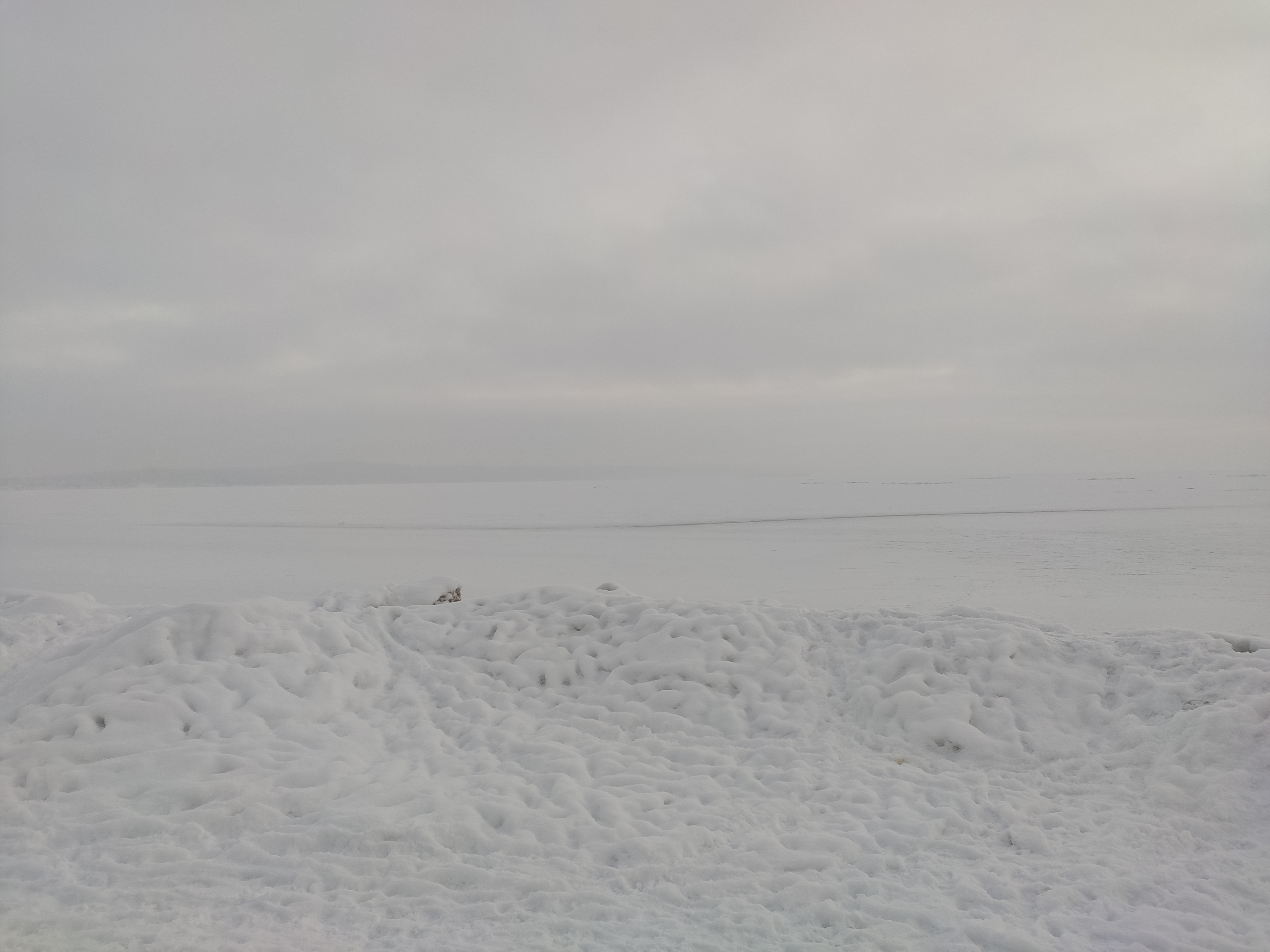 Губа Онежского озера затянулась льдом (ФОТО)