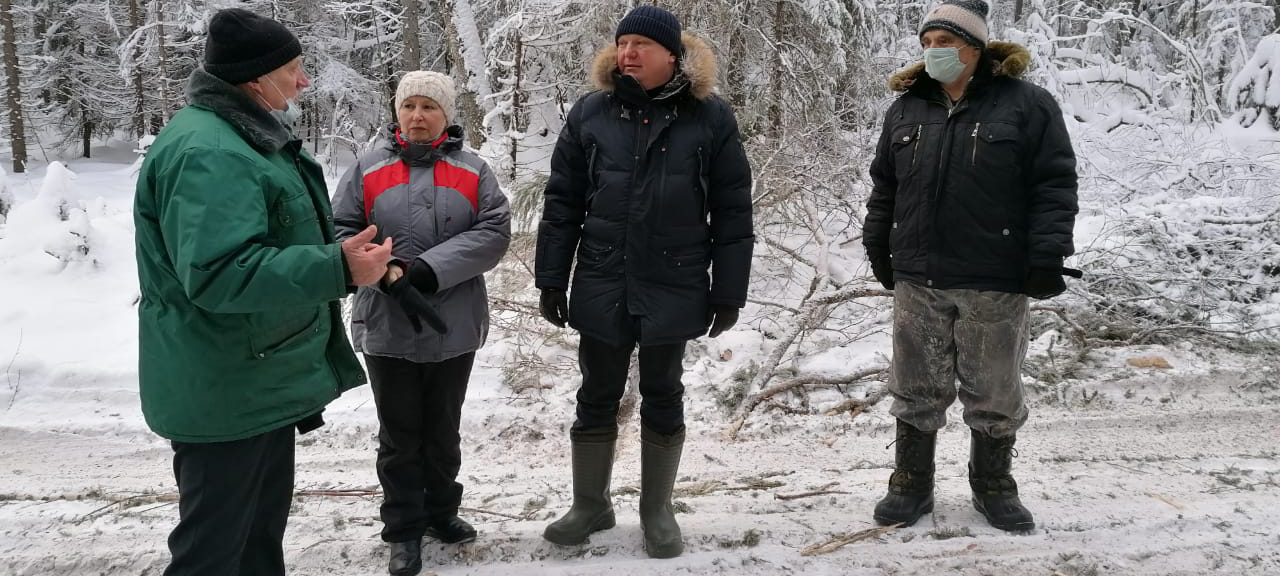 В Минприроды Карелии заявили об отсутствии сплошных рубок в Пудожском районе