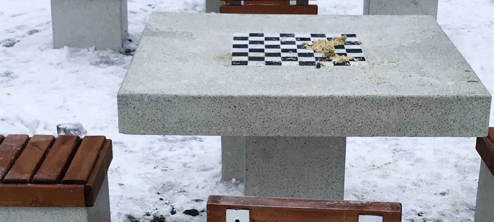 Неизвестные забросали мусором каменные шахматные доски, установленные в Петрозаводске (ФОТО) 