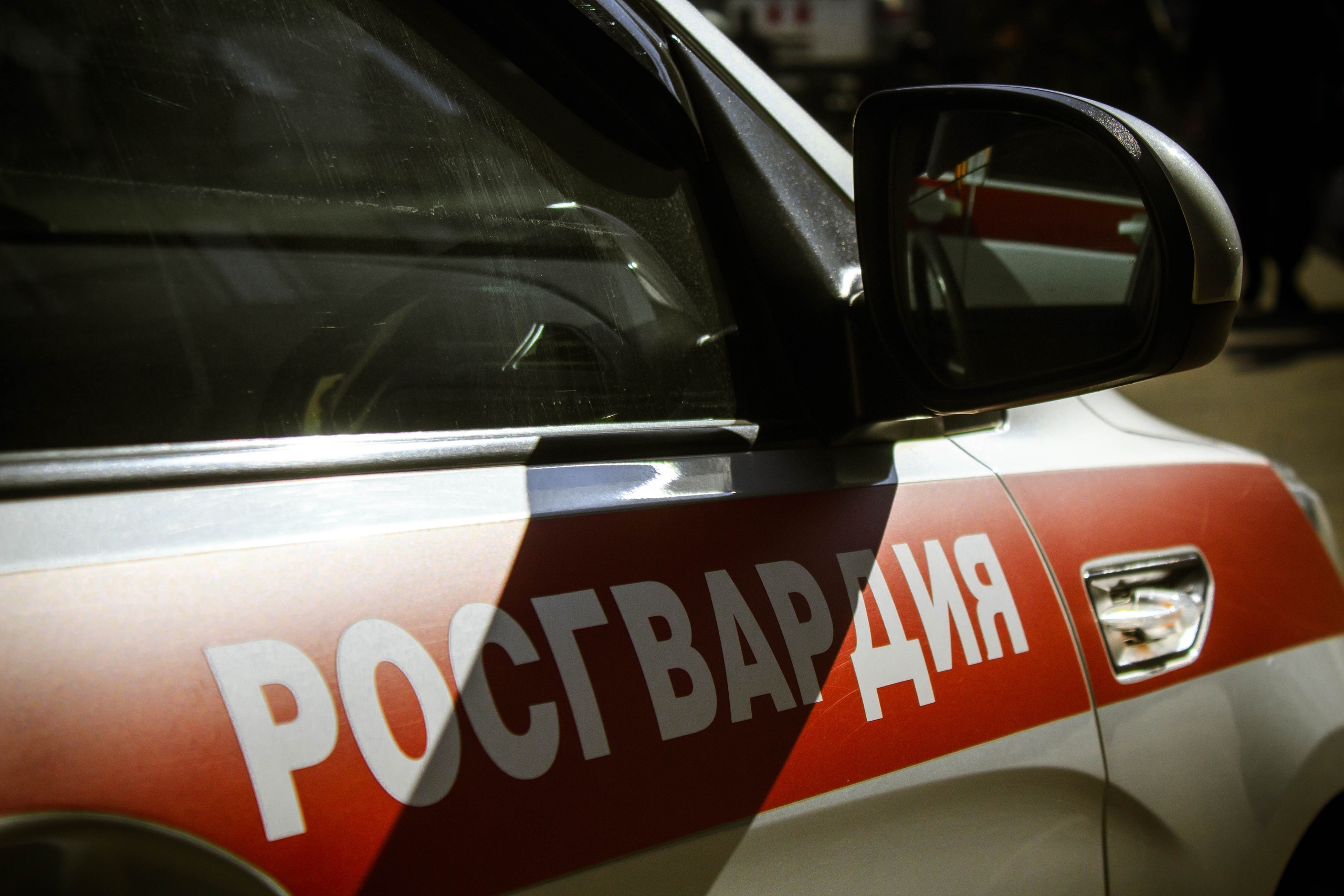 Два юнца в Петрозаводске попали в полицию за попытку украсть ароматизатор с шоколадкой