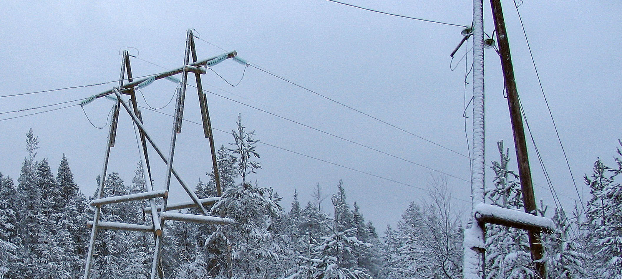 В районах Карелии энергетики продолжают неотложные ремонты в электрических сетях