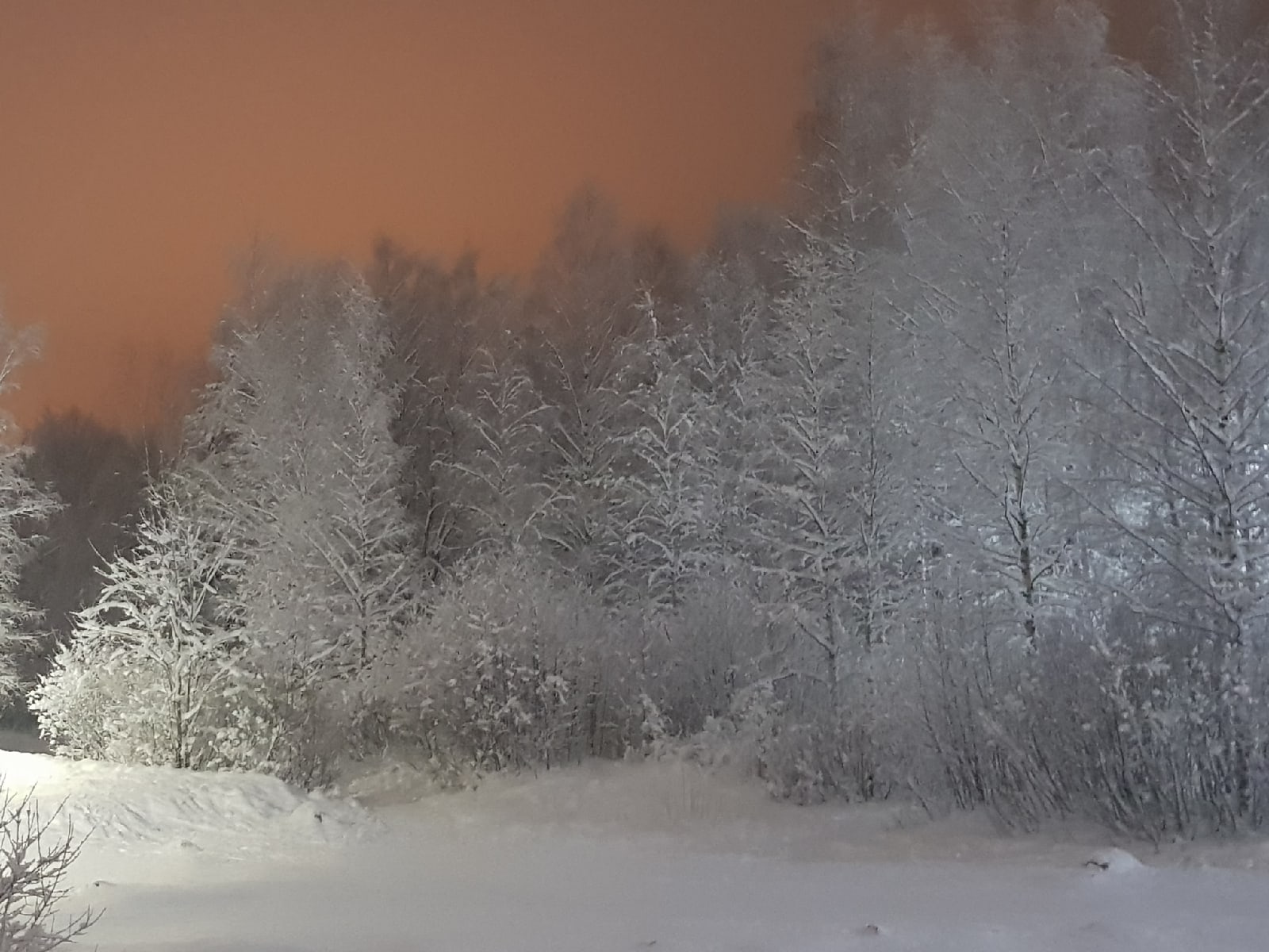 Морозы не отступают –  ночью 22 февраля в Карелии похолодает до -32