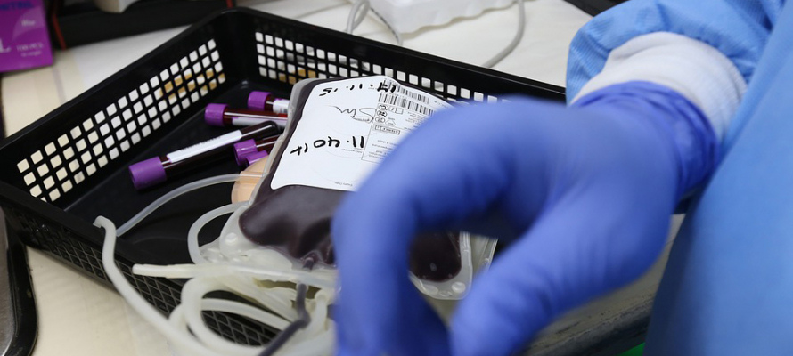 Станция переливания крови Петрозаводска нуждается в донорах отрицательных резусов всех групп